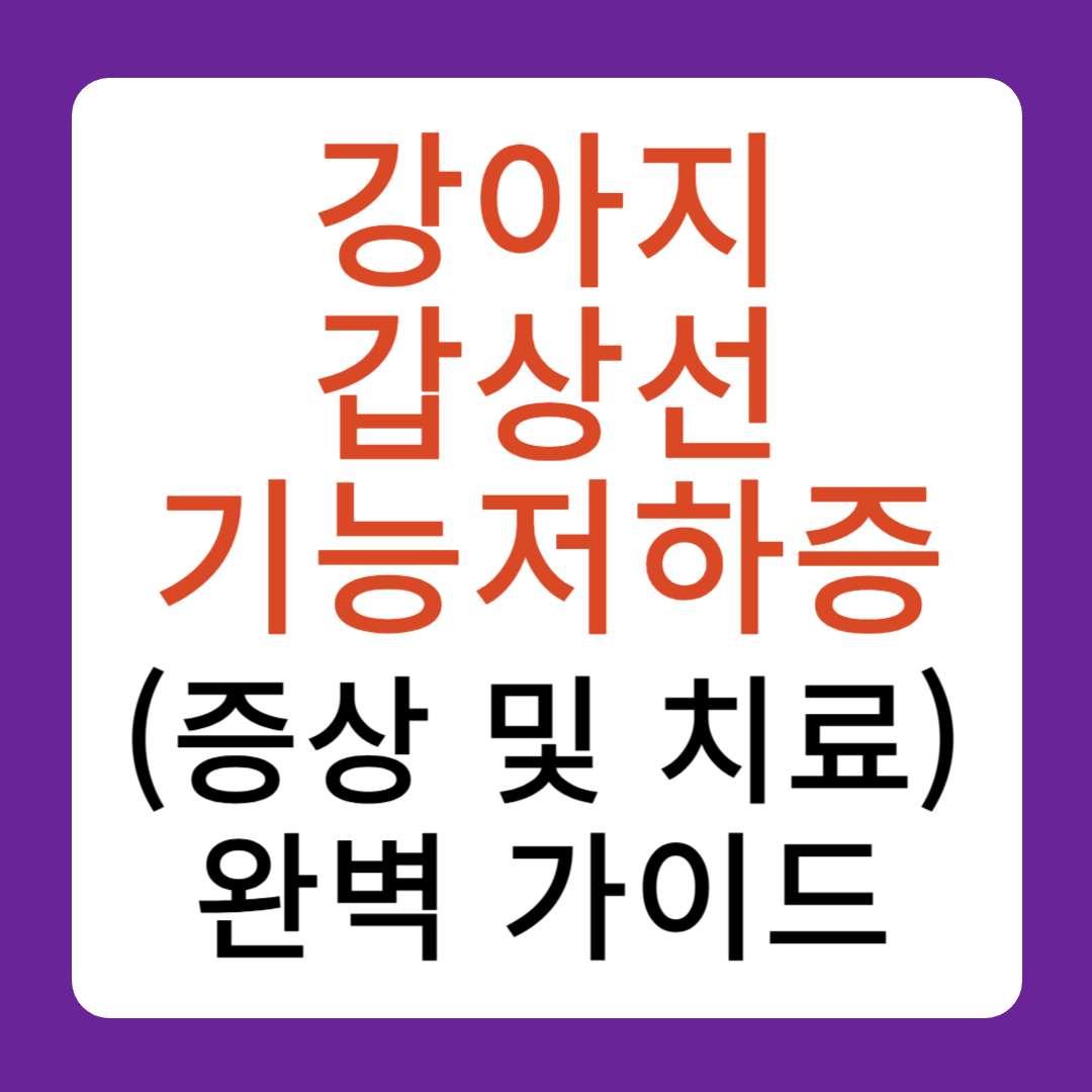 강아지 갑상선 기능저하증 증상 및 치료 완벽가이드