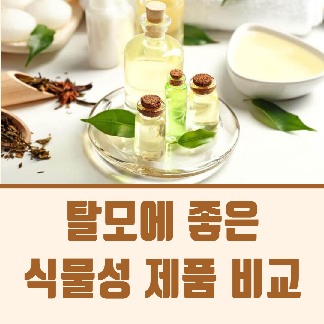 탈모에 좋은 식물성 제품