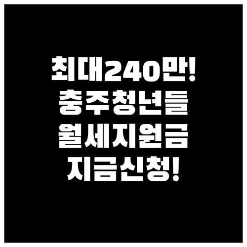 최대 240만 원 받는 충주시 청년 ..