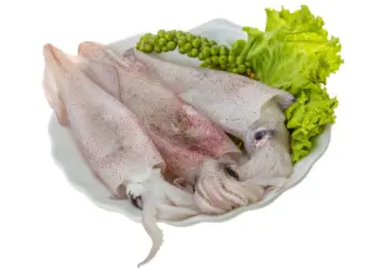 오징어 가격 및 효능&amp;#44; 영양성분 주의점