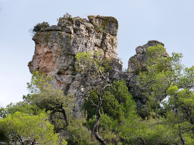 송화가루 날리는 시기
