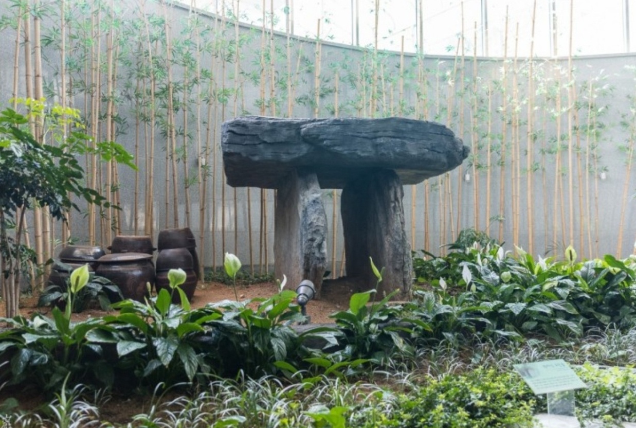 고창 고인돌 이미지