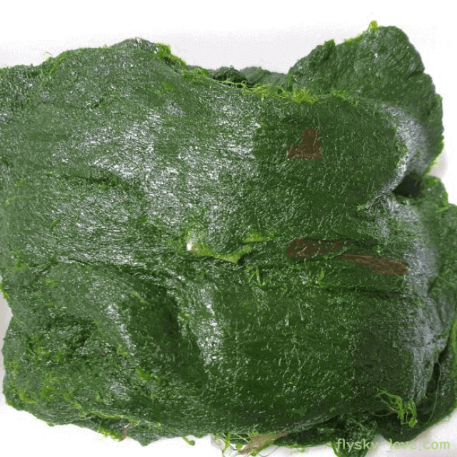 천연 영양제 매생이