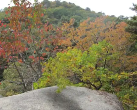 설악산-속초가볼만한곳베스트10