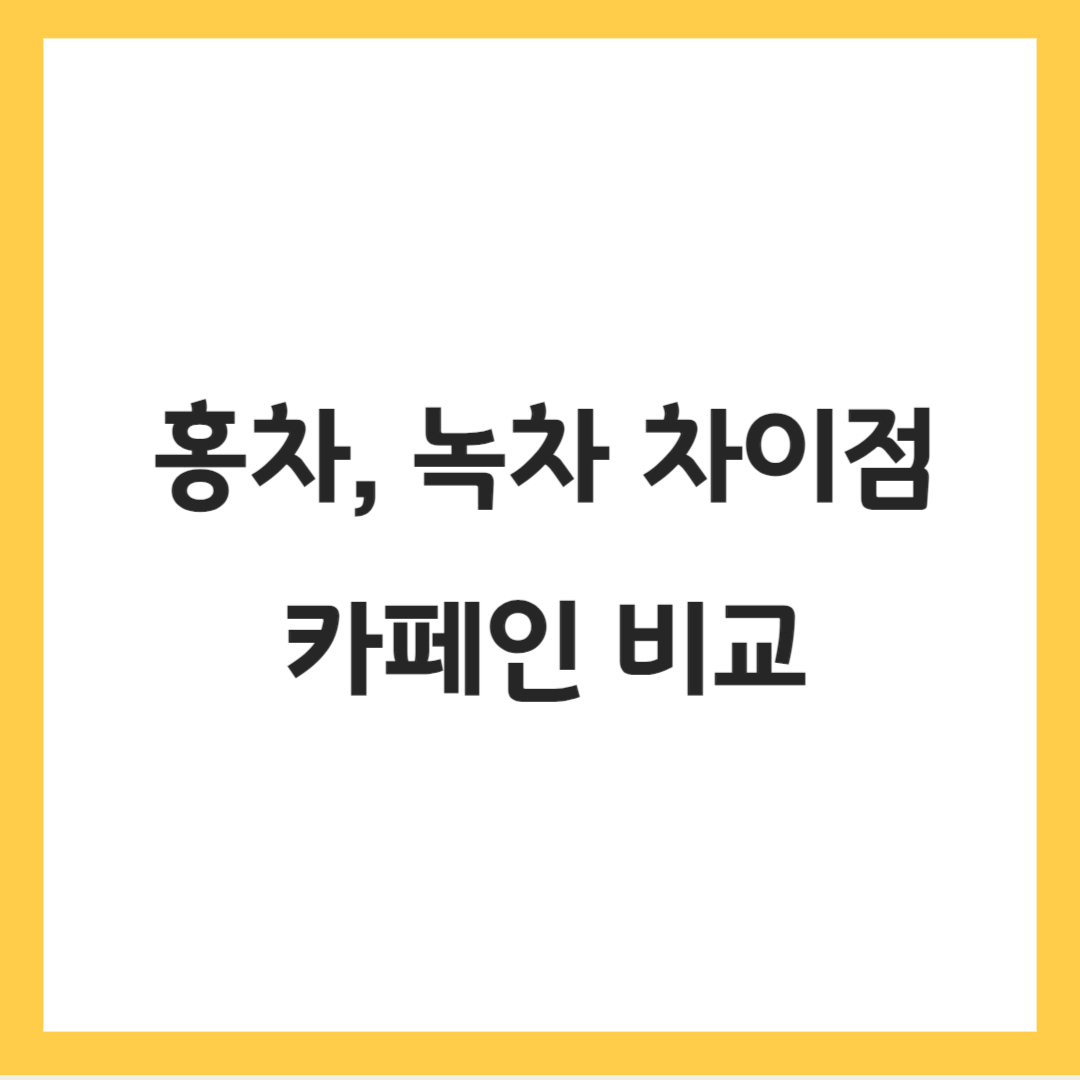 홍차-녹차-비교