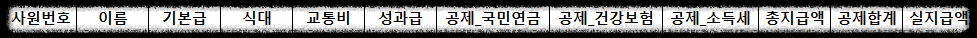 급여명세서 기본필드
