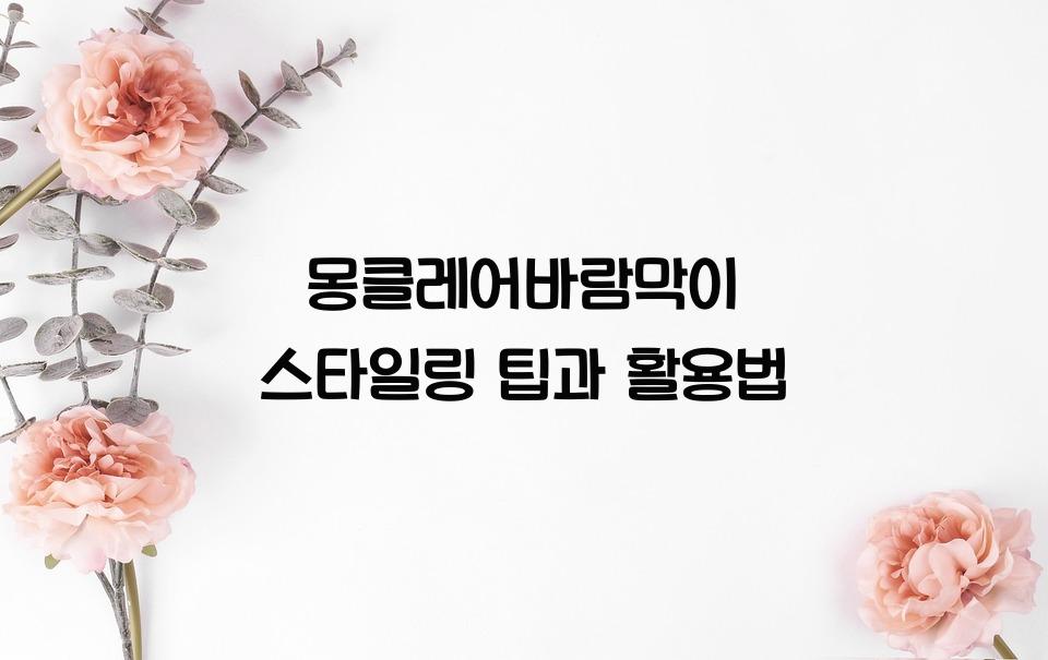 몽클레어바람막이