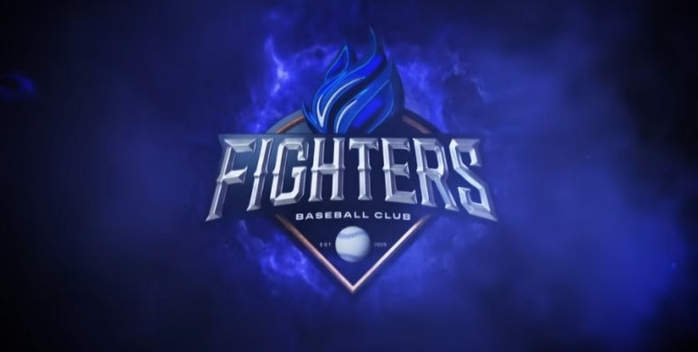 불꽃야구 고척스카이돔 직관 경기 개요