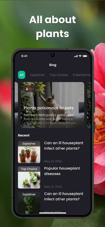 꽃 이름 찾기 어플, 꽃 스캔하고 식별하기