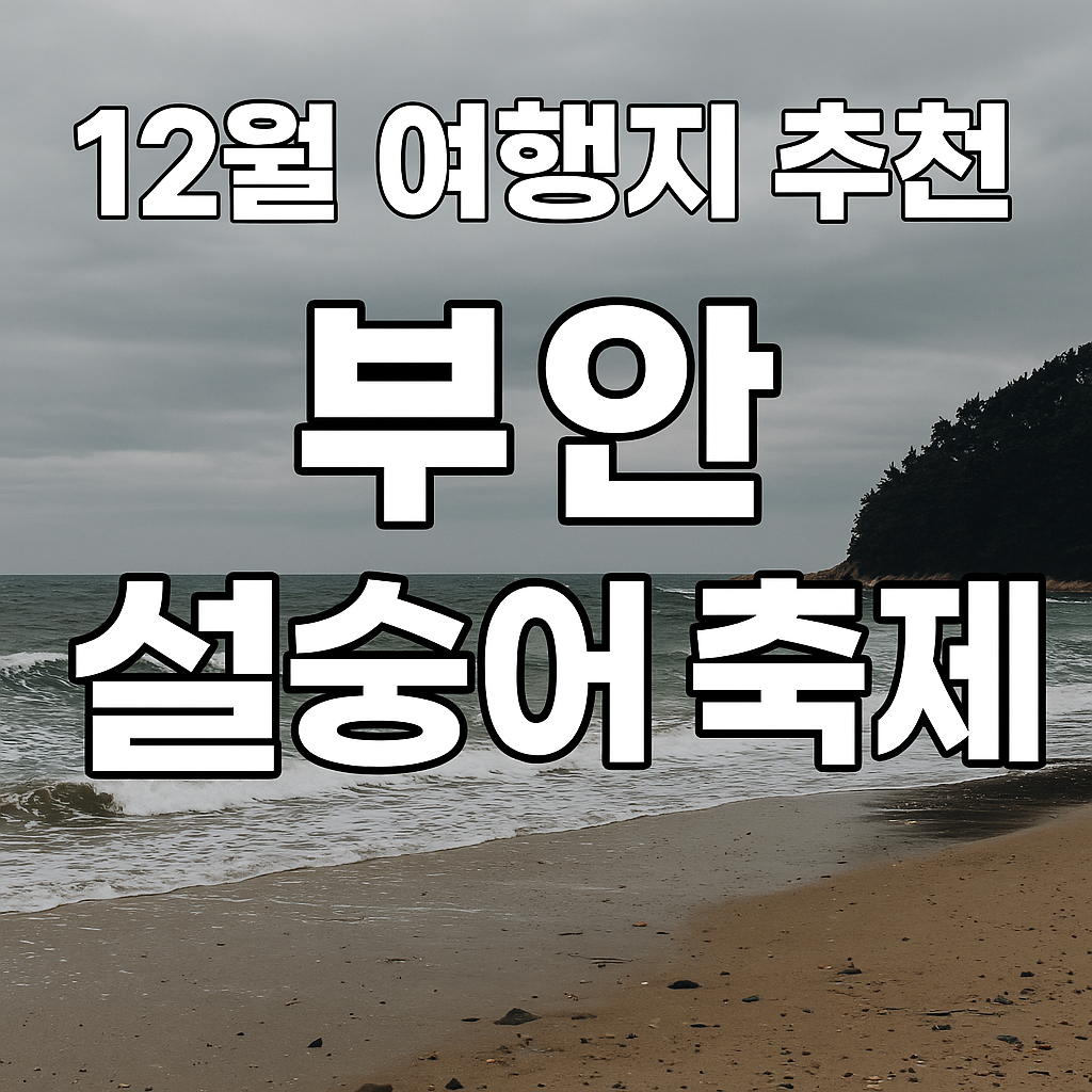 12월 국내 여행지 추천! 전북 부안 설(雪)숭어 축제 2025