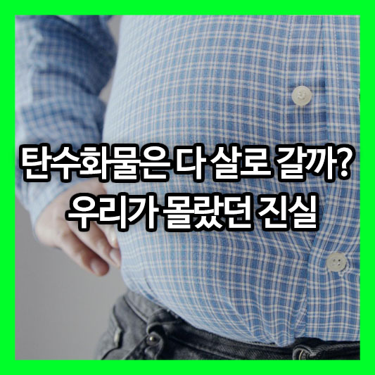 탄수화물은 다 살로 갈까? 우리가 몰랐던 진실