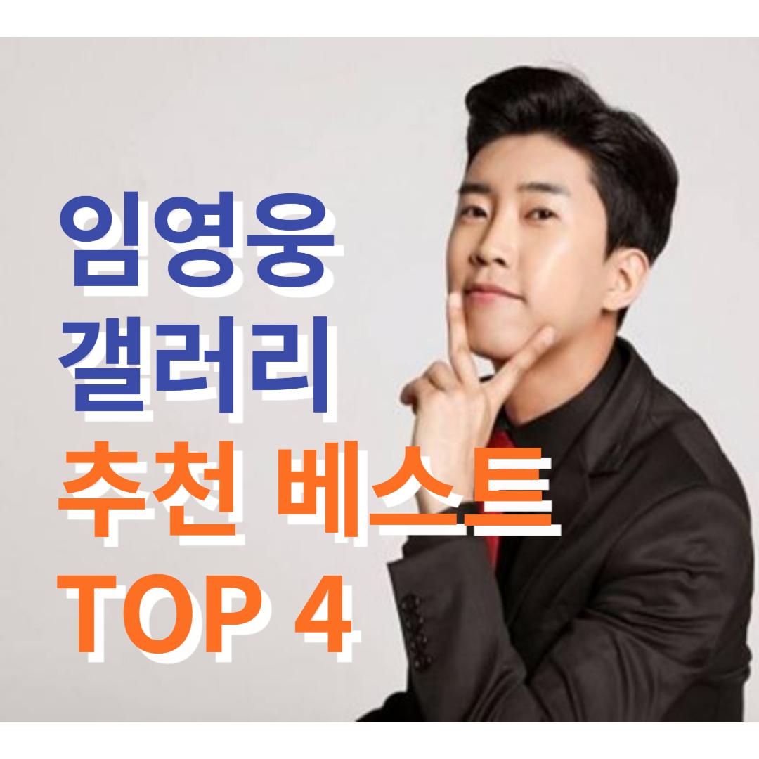 임영웅 갤러리 추천 설명 표지