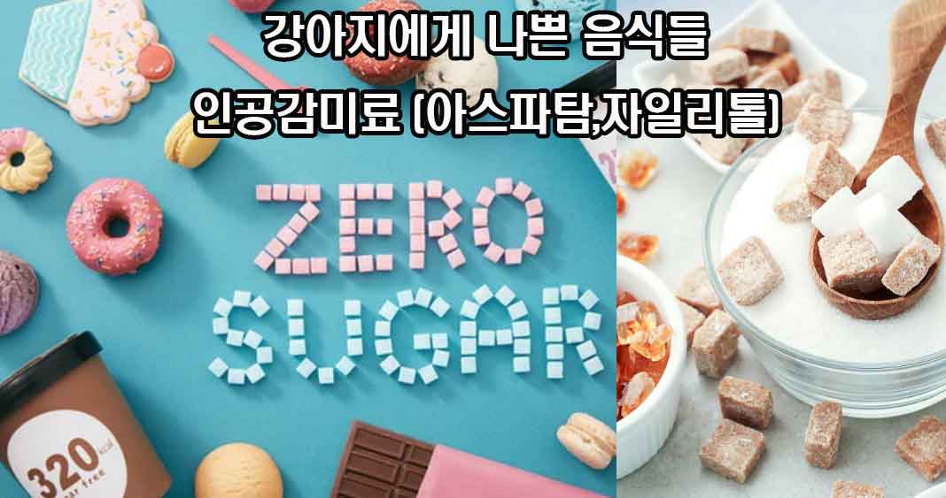 강아지에게 나쁜 음식들, 강아지에게 해로운 음식들