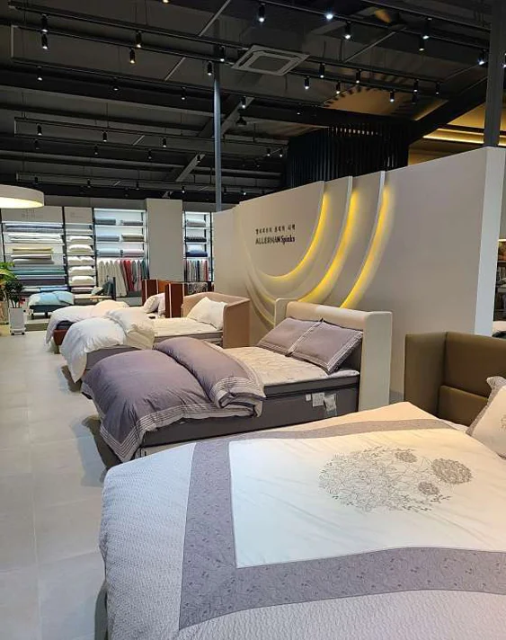 알레르망 천안쌍용점