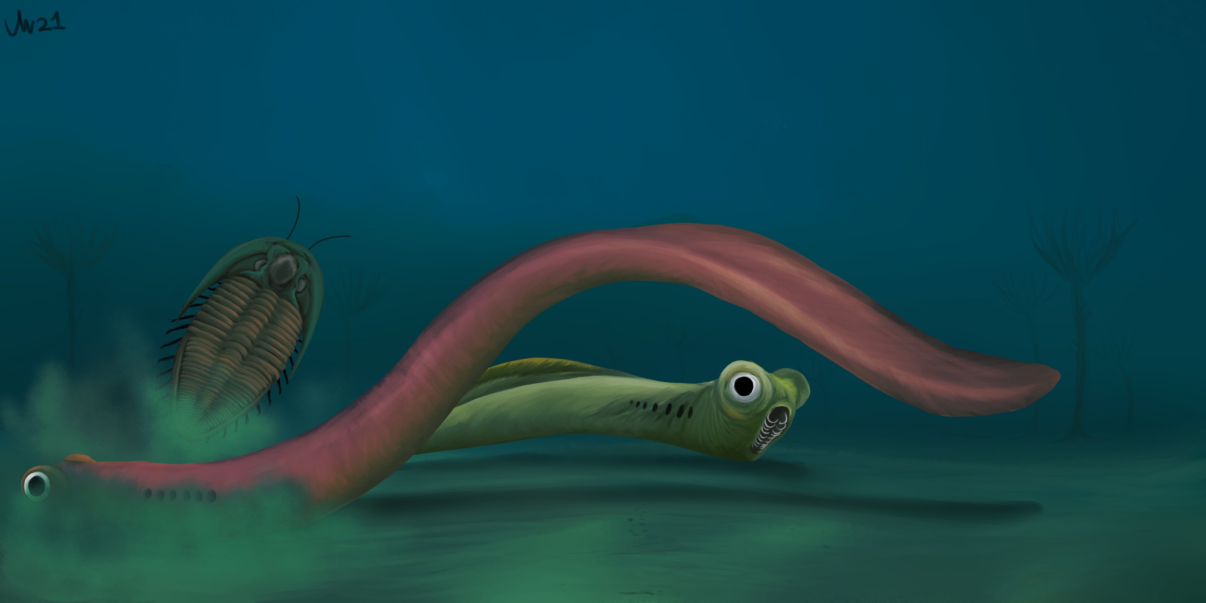 돌레로바실리쿠스(JH 작)