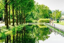 2024 별 헤는 서울숲 프로그램