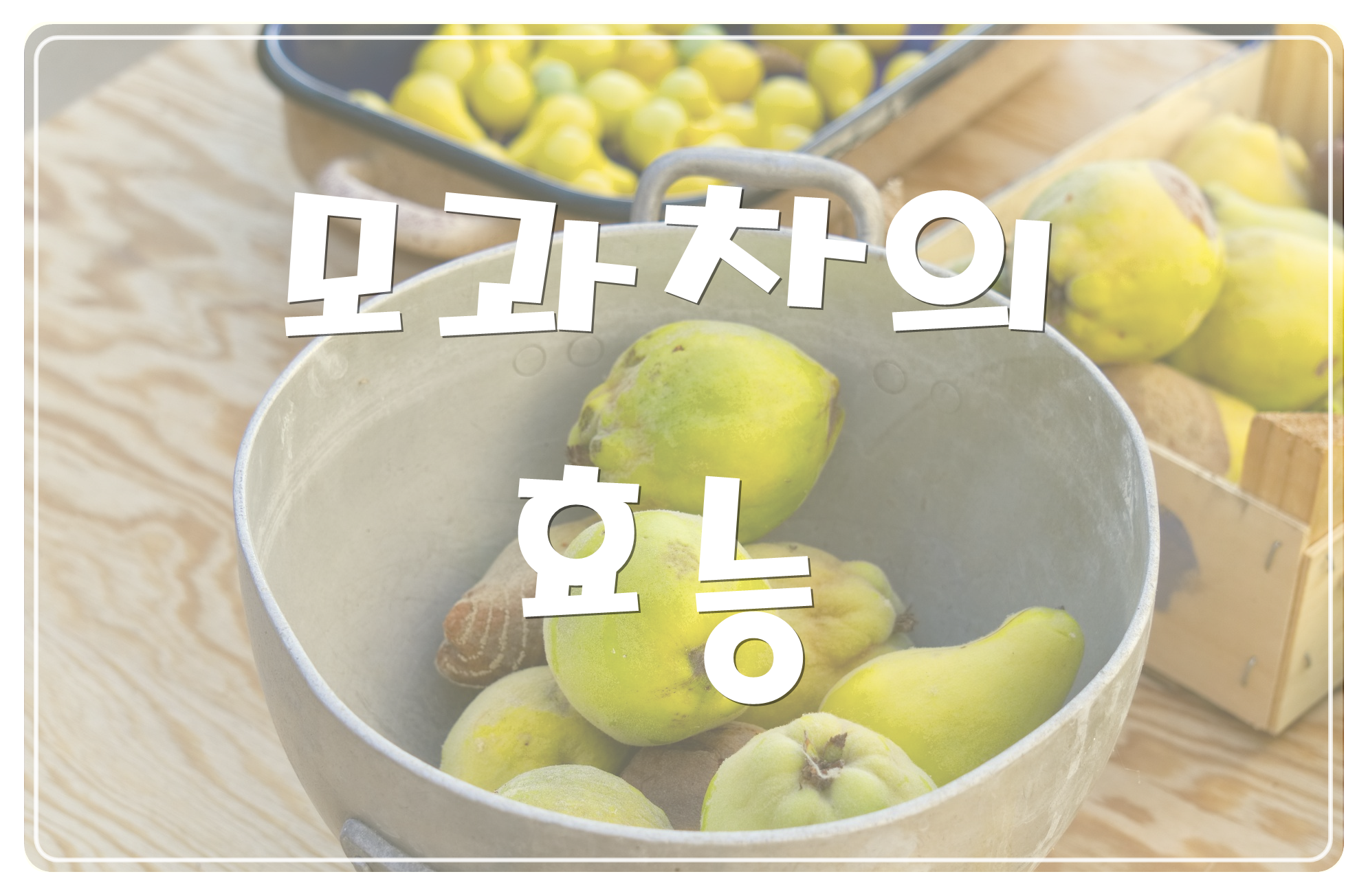 모과차 효능