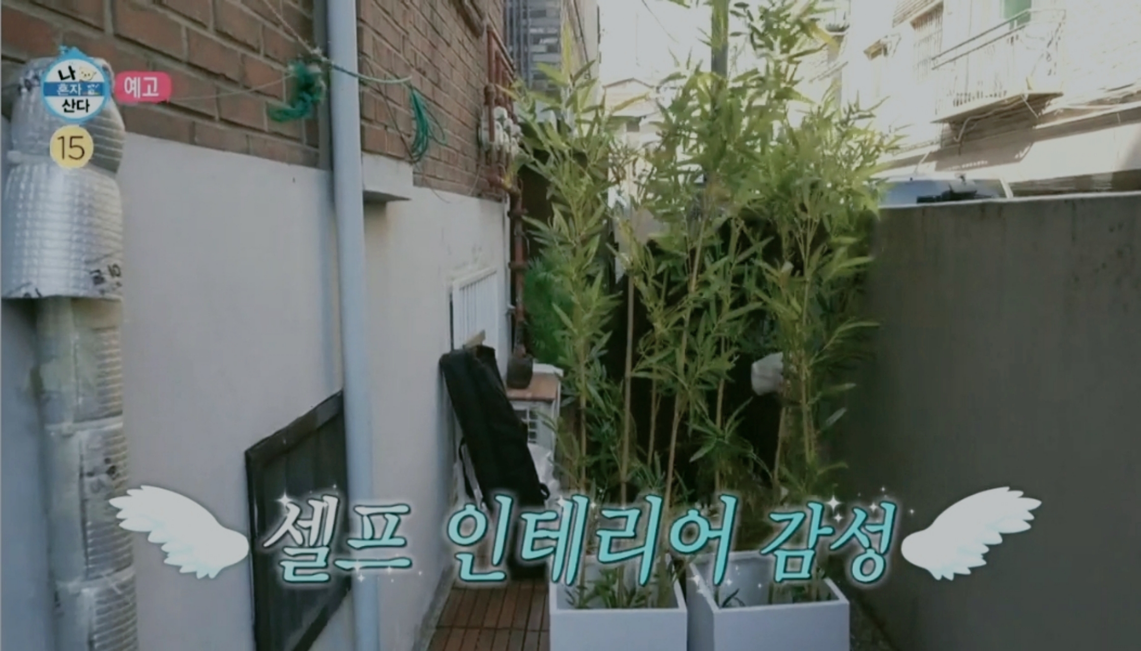 나혼산 배우 이유진