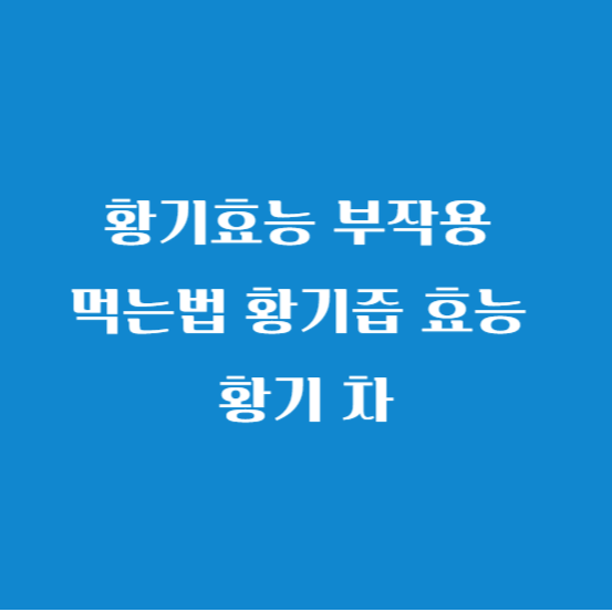 황기효능 부작용 먹는법 황기즙 효능 황기차
