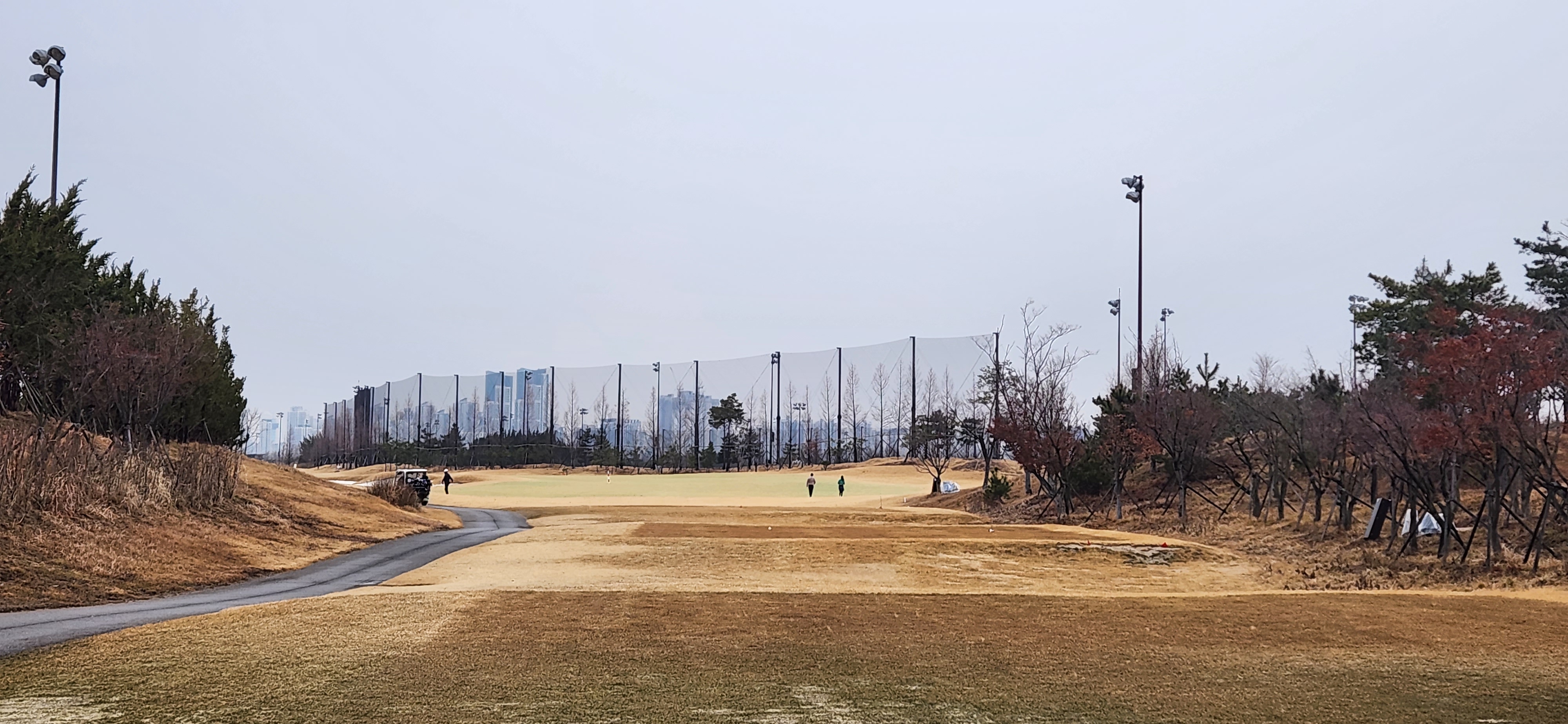 솔트베이cc