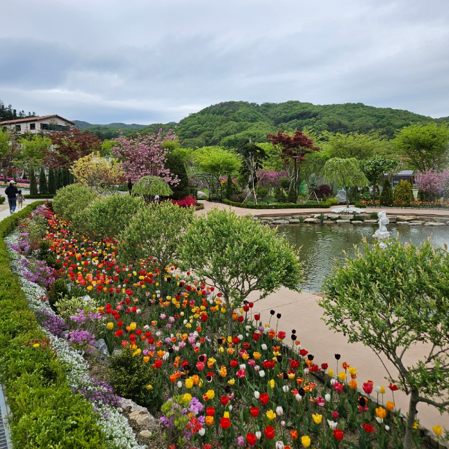 용인 자작나무숲 - 애견동반 입장료 펜션 예약