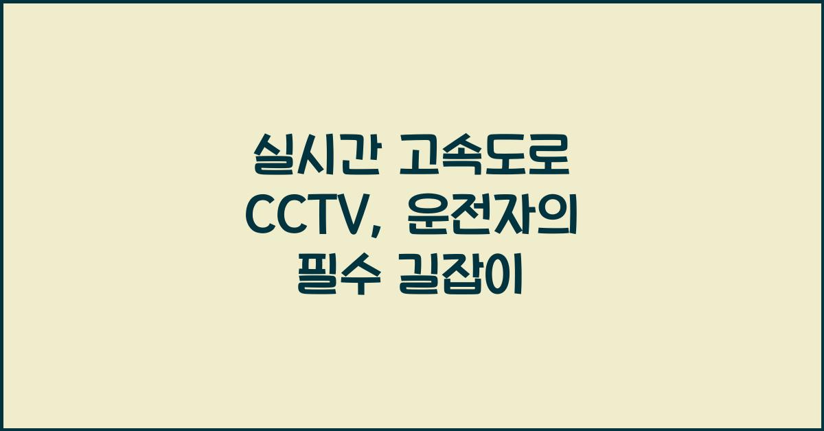 실시간 고속도로 cctv