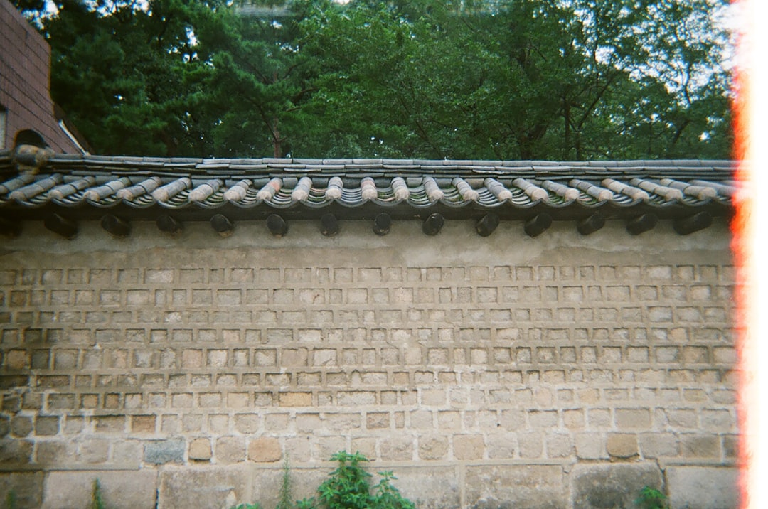 Hanwoo