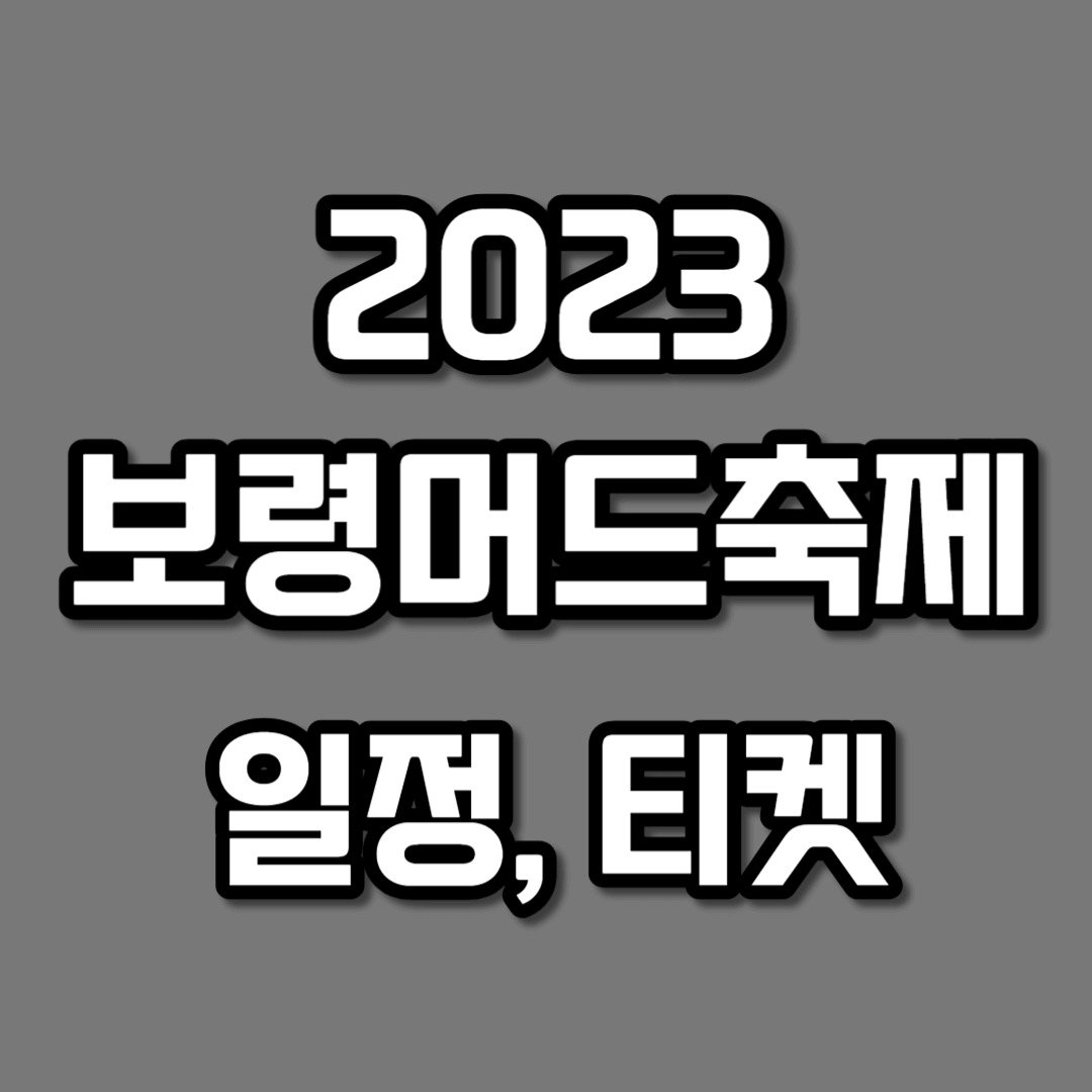 보령머드축제