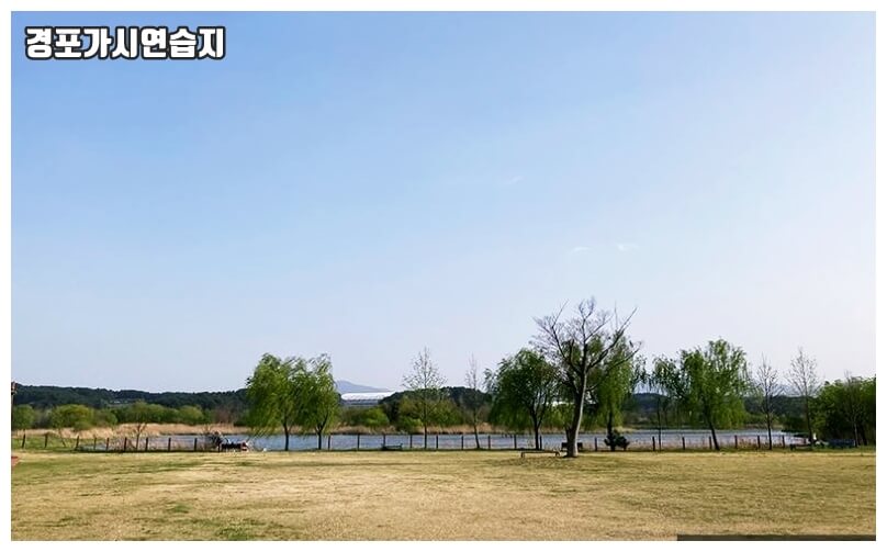 경포가시연습지 전경사진