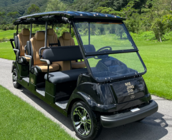 내장산cc-vip카트