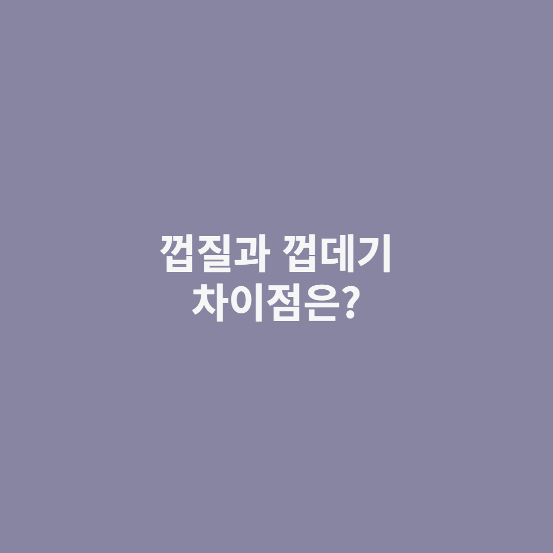 껍질과 껍데기 차이점
