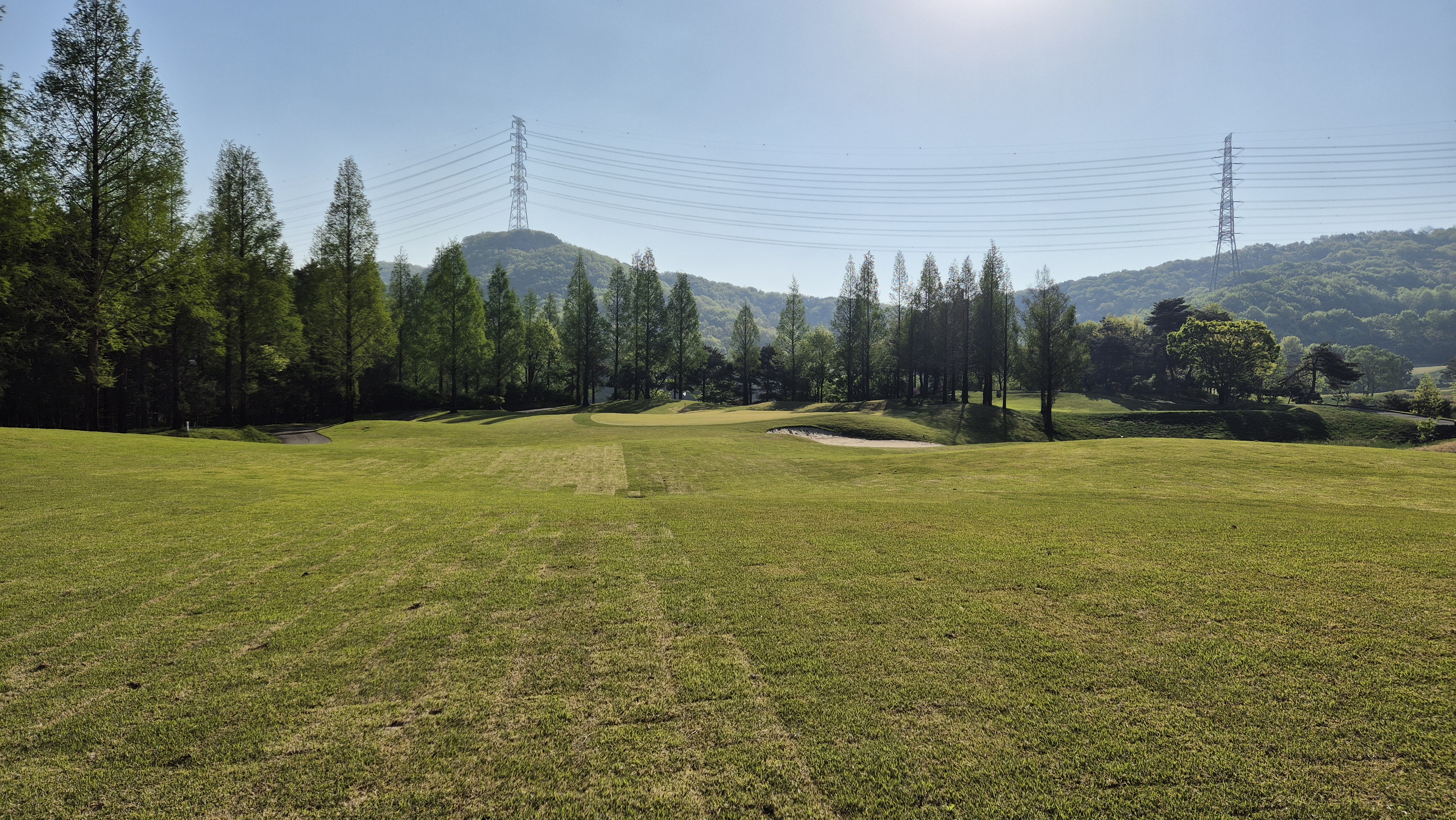 마에스트로cc 코스