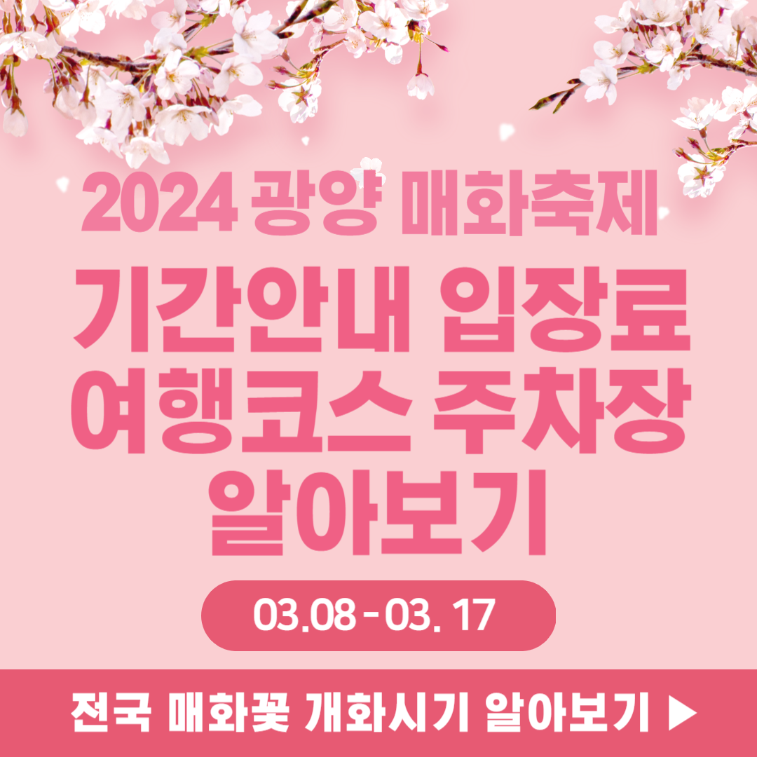 2024 광양 매화축제 기간안내 입장료 여행코스 주차장