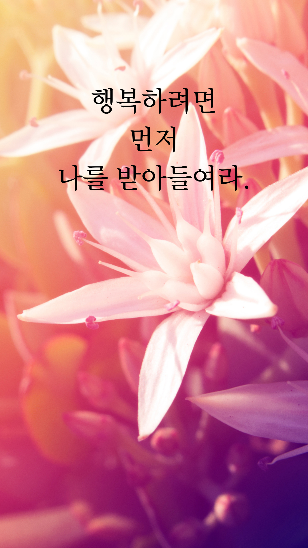 행복한 글귀 명언 문구 좋은 글 이미지 배경 모음