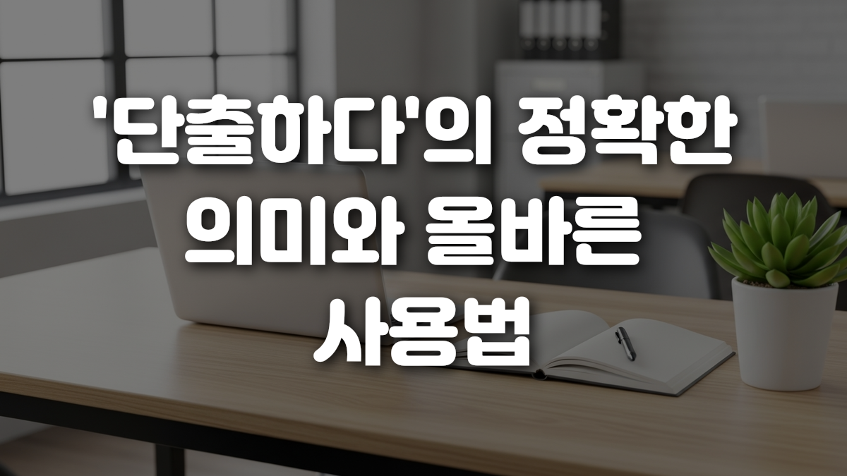 단출하다 의 정확한 의미와 올바른 사용법