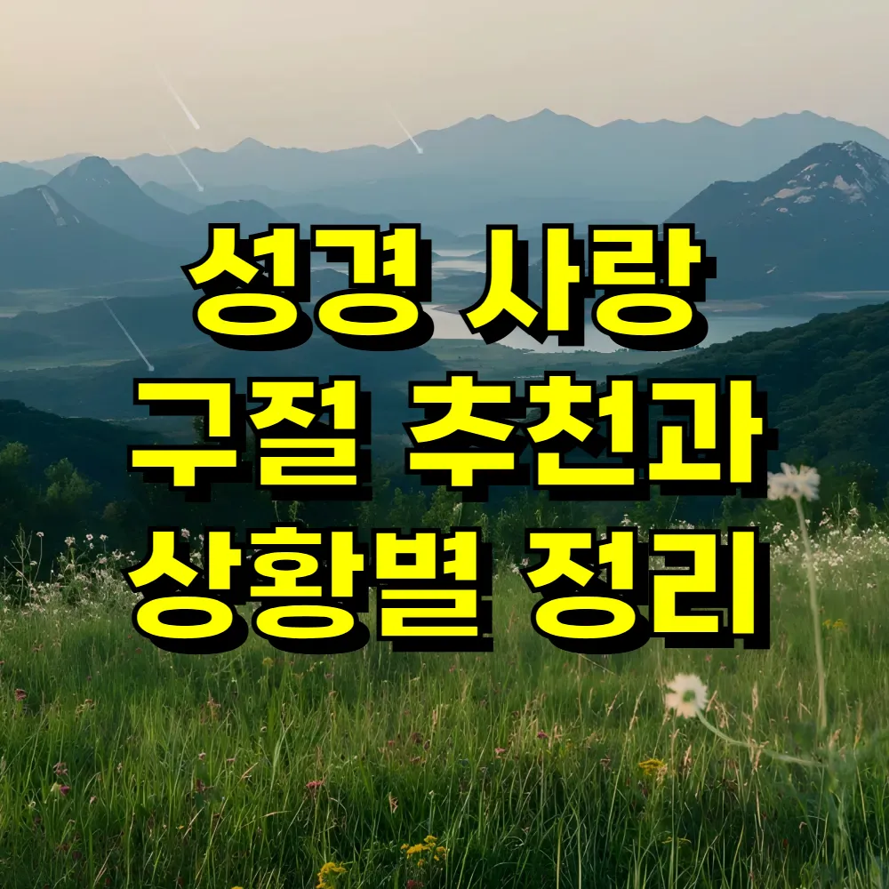 성경 사랑 구절 추천과 상황별 정리