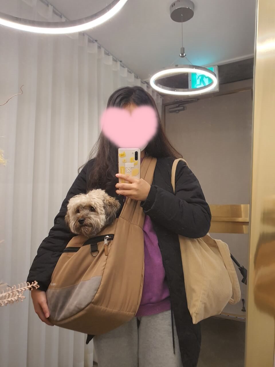 이동가방과 강아지