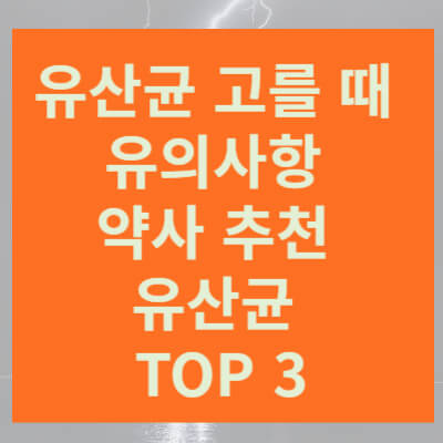 유산균 추천 썸네일