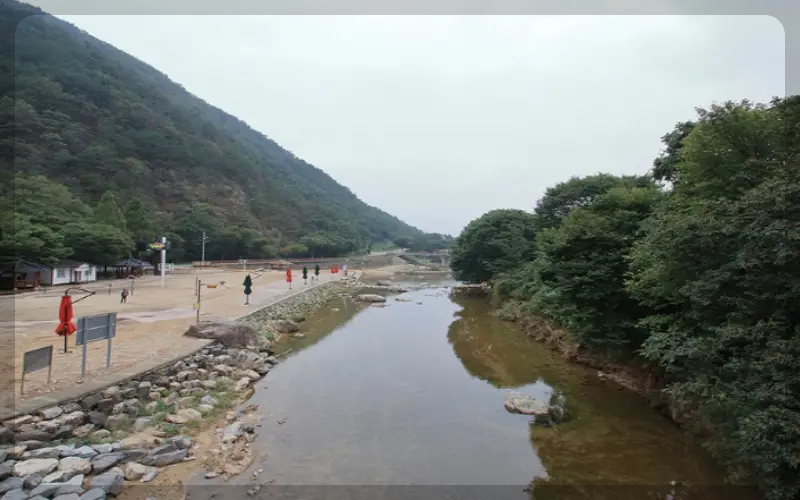 장령산 자연휴양림 물놀이