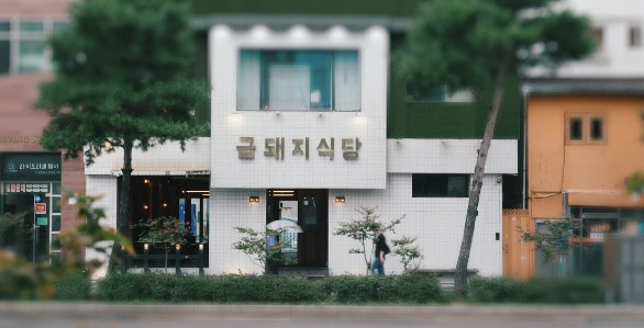 고기서 만나 신당동 금돼지식당