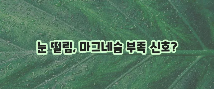 눈 떨림 완화에 마그네슘 섭취 식단이 중요합니다!