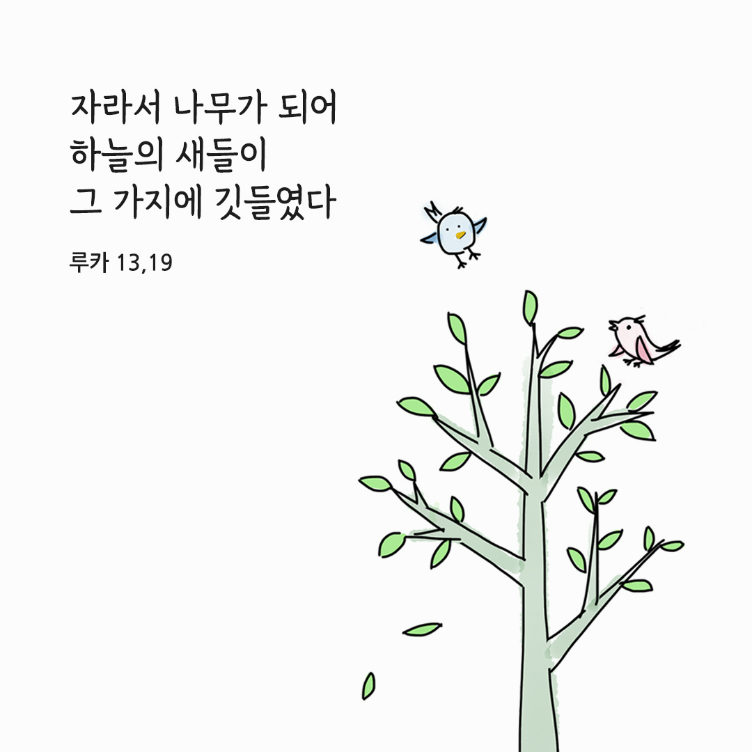 자라서 나무가 되어 하늘의 새들이 그 가지에 깃들였다. (루카 13&#44;19)