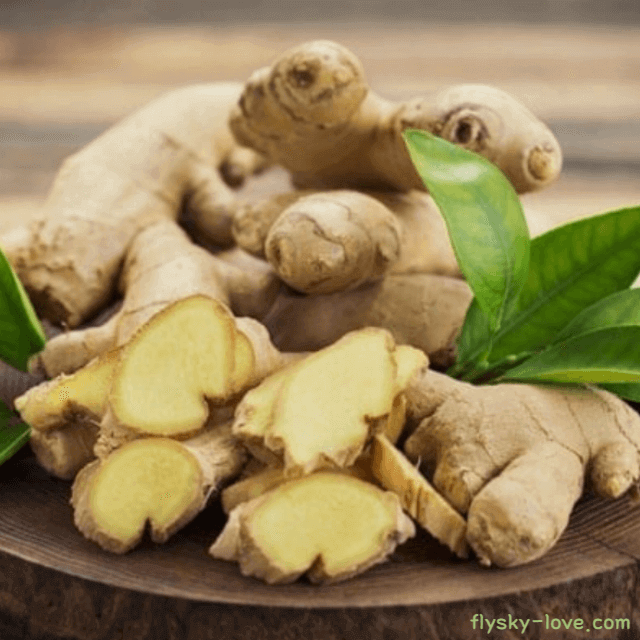 진저 (Ginger), 진저오일