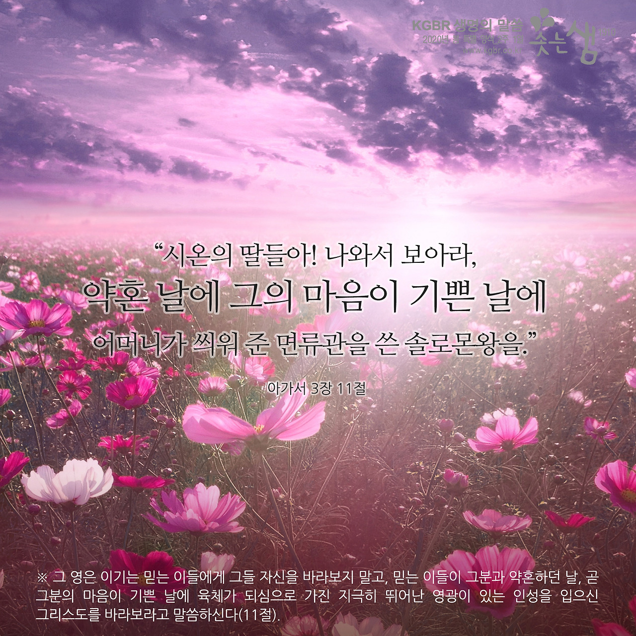 아가 3장