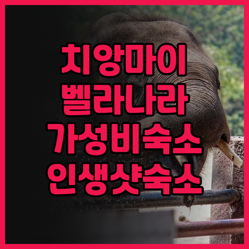 치앙마이 여행객 필독! 벨라 나라 호..