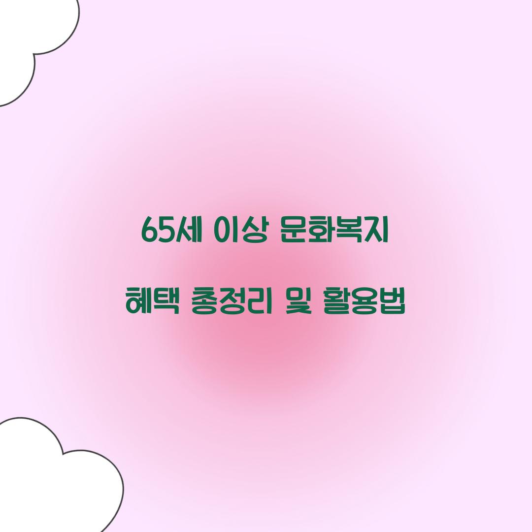 65세 이상 문화복지