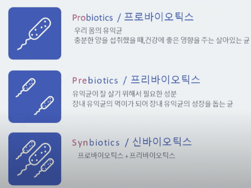 명의(김도영 교수)가 추천하는 유산균