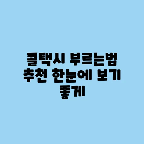콜택시 부르는법 추천 한눈에 보기 좋게