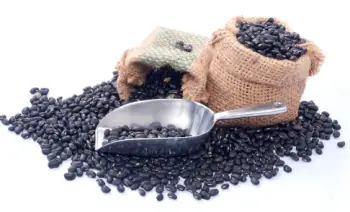 검은콩 효능 및 영양소, 가격