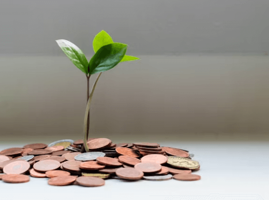 연령별 투자 포트폴리오&amp;#44; 나이에 따라 &amp;#39;이것&amp;#39;이 다르다